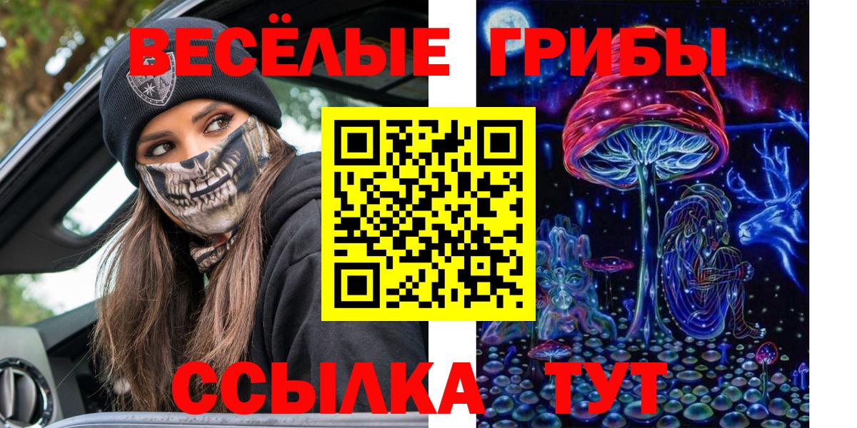 Псилоцибиновые грибы MAGIC MUSHROOMS Черногорск